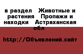  в раздел : Животные и растения » Пропажи и находки . Астраханская обл.